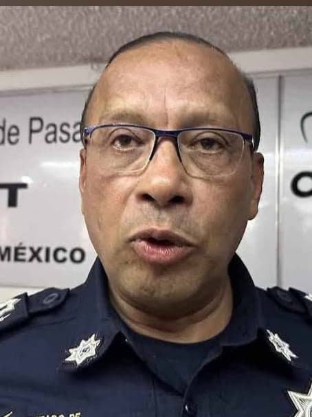 Imagen del artículo