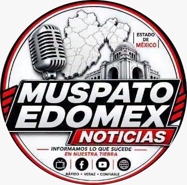 Logo Pulso Local